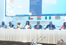 Déficit énergétique dans la sous-région: une réunion du Comité des Ministres de l’Autorité du Gazoduc de l’Afrique de l’Ouest (AGAO) à Lomé