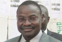Togo : cas de dengue, appel à la vigilance