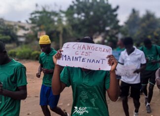 Jeunes Activistes Africains Luttent Pour les Énergies Renouvelables avec REPower Afrika