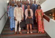 Togo : point sur l’avancement des systèmes de stockage d’énergie par batterie (BESS)