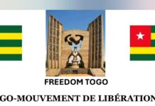 Togo / Politique : Qui a infiltré Freedom Togo MLN ?