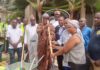 THIMO : Le Maire Konou Noukafou remet officiellement des Matériels de salubrité aux CDQ
