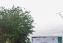 Journée de l’Afrique : la résilience climatique au cœur de la célébration de l’ONG Jeunes Verts
