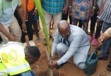 Togo : Golfe 2 contribue pleinement à la vision d’un milliard d’arbres d’ici 2030