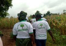 Togo : le CIRPEF appuie une initiative de reboisement des non-voyants à Togoville