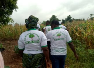 Togo : le CIRPEF appuie une initiative de reboisement des non-voyants à Togoville