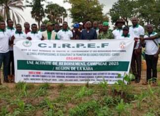 Reboisement : le CIRPEF a mis en terre 10 315 plants à Pya