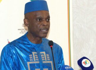 Nouvelles rivalités géopolitiques : la recette d’ une Afrique stratégiquement autonome prônée au Togo