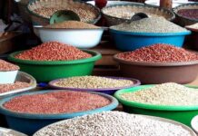 Togo: la fédération des producteurs de céréales monte au créneau après un live accusateur