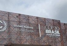 COP30 à Belém : l’Afrique francophone réclame justice climatique, financements et solidarité