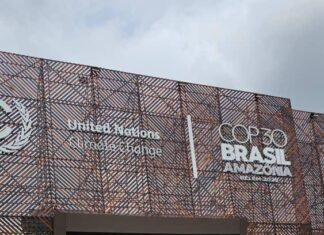 COP30 à Belém : l’Afrique francophone réclame justice climatique, financements et solidarité