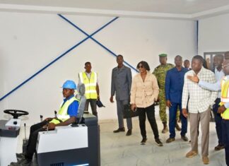 Agriculture et santé publique : Faure Gnassingbé en visite de terrain au CRMA de Tchitchao et au CHP de Kantè