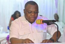 Togo : « L’alliance avec le mouvement TOVIA repose sur une convergence de valeurs », dixit Komi Nyassa Sowou