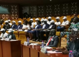 CEDEAO : Les parlementaires à Lomé encouragent la jeunesse à l’entrepreneuriat