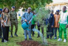 Journée nationale de l’arbre : le Président de l’Assemblée nationale pose un acte fort en faveur de l’environnement