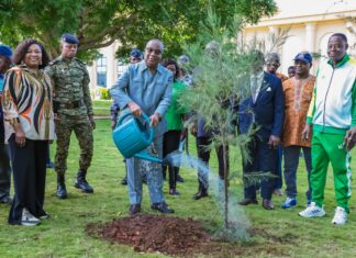 Journée nationale de l’arbre : le Président de l’Assemblée nationale pose un acte fort en faveur de l’environnement