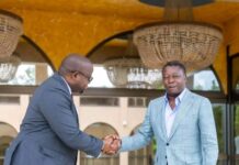 RDC : Faure Gnassingbé poursuit ses consultations pour une paix durable