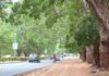 Lomé : circulation temporairement restreinte sur le boulevard Eyadéma en raison de travaux d’élagage