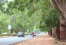 Lomé : circulation temporairement restreinte sur le boulevard Eyadéma en raison de travaux d’élagage