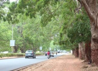 Lomé : circulation temporairement restreinte sur le boulevard Eyadéma en raison de travaux d’élagage