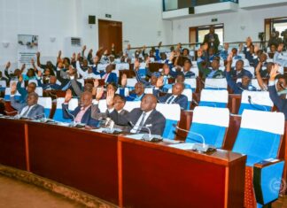 Togo: Adoption définitive de quatre projets de loi par l’Assemblée nationale