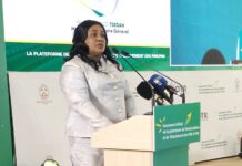Togo : l’OTR lance une plateforme fiscale en ligne pour les PME et PMI