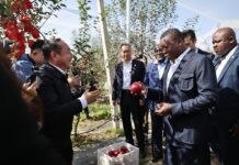 Chine-Togo : A Nangou, Faure Gnassingbé explore les pistes de partenariat en développement local
